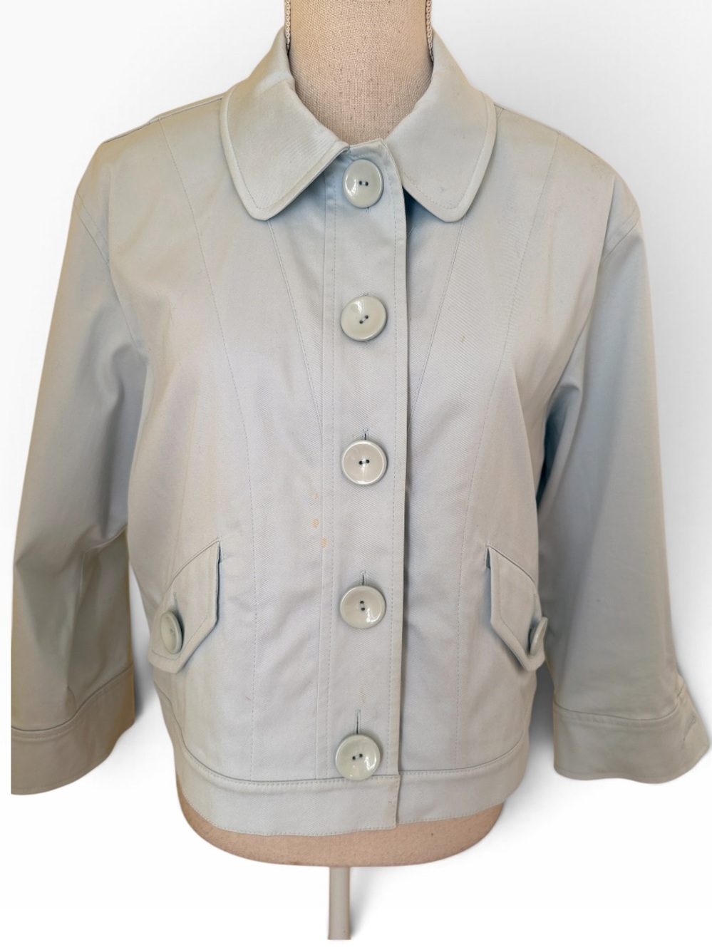 Carlisle Pastel Blue Classic Button-Front Jacket 12